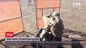 Новости Украины: бойцы СБУ померились силами на тактических соревнованиях