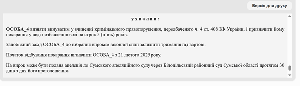 Вирок суду / © Єдиний державний реєстр судових рішень