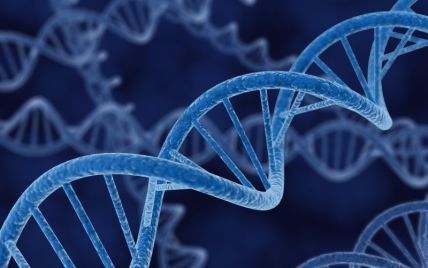 Ученые обнаружили ген, "выключение" которого продлевает жизнь на 60%