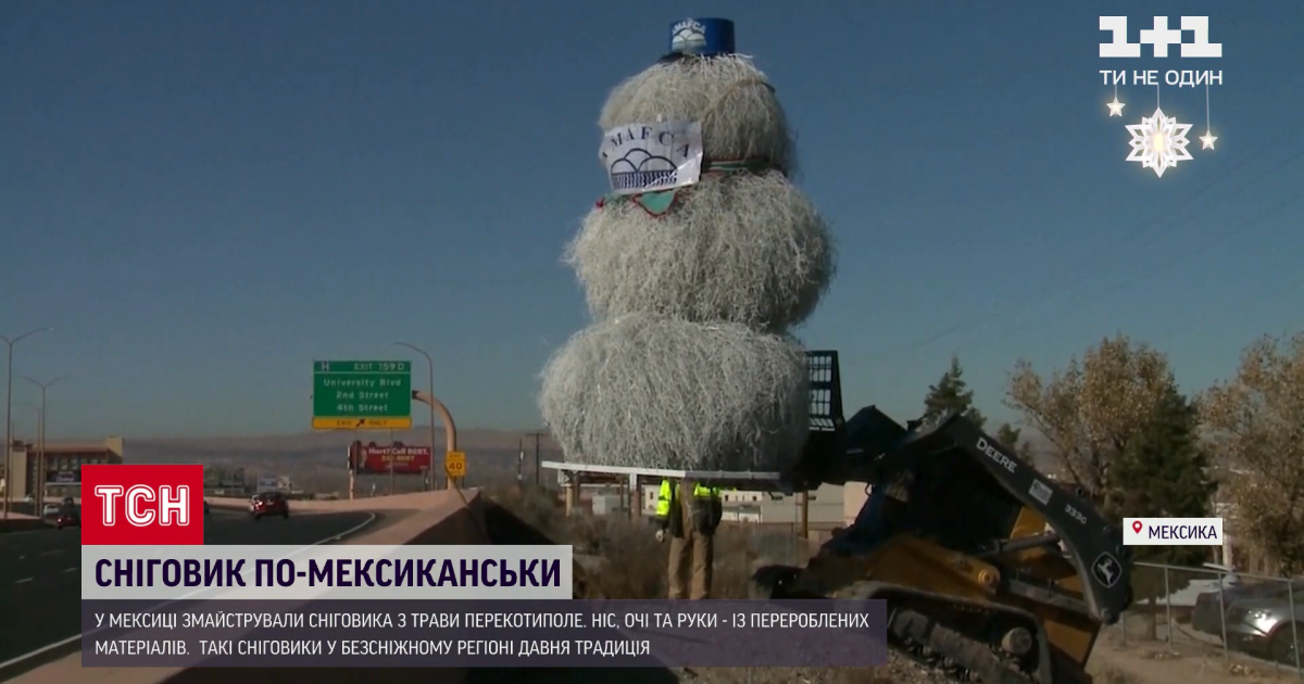 В Мексике, где обычно нет снега, мастерят необычных снеговиков