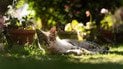 Який день ангела 22 серпня