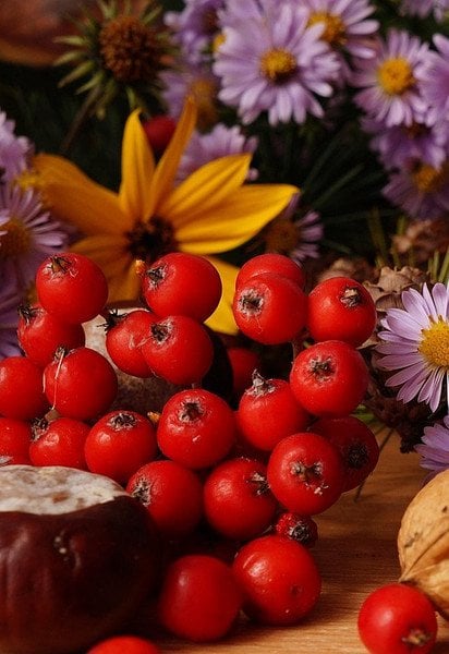 З Горіховим Спасом 2026: привітання