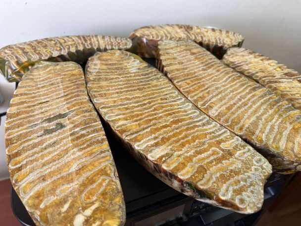 Фото: Київська митниця