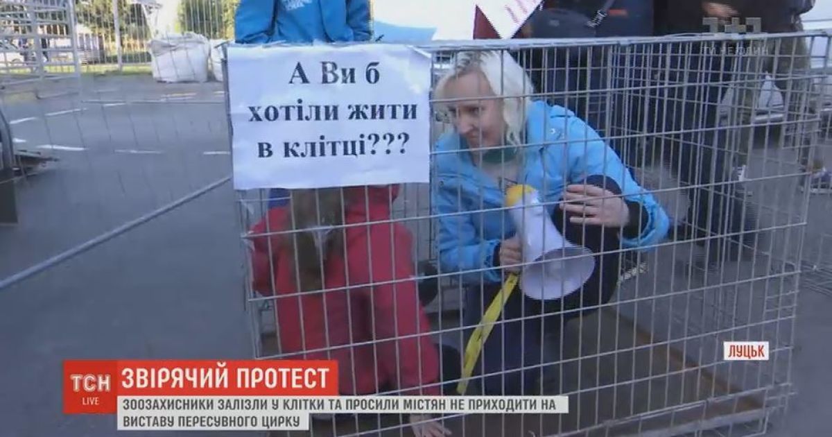 Луцкие зоозащитники в клетках провели акцию против странствующего цирка