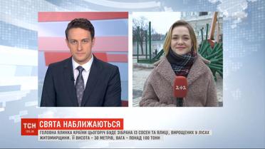 На Софийской площади в Киеве начали обустраивать рождественский городок