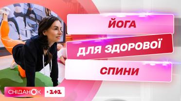 Лучшие асаны, которые помогут вылечить спину от тренера по йоге Екатерины Левинской