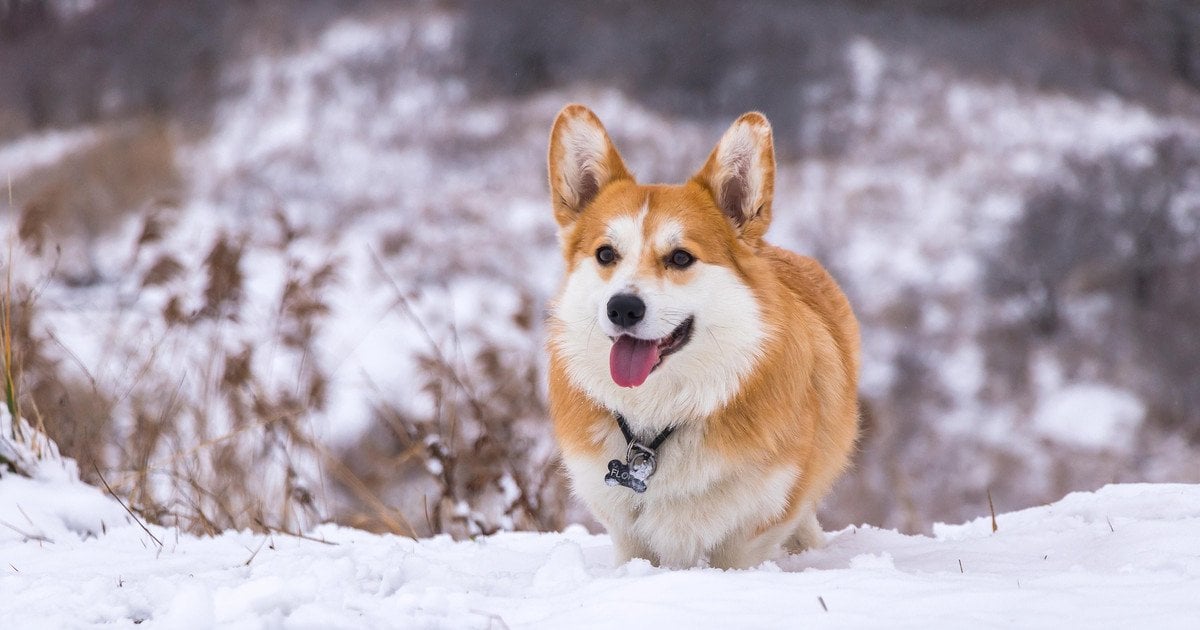 Прогноз погоди