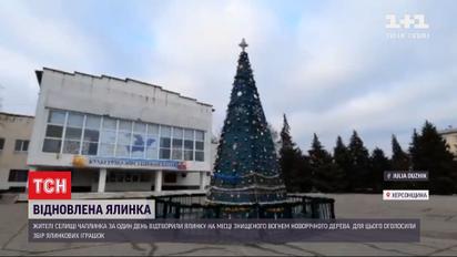 В селе Чаплинка Херсонской области за день восстановили сгоревшую на святого Николая елку