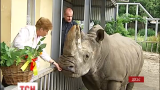 Найстарший білий носоріг Європи помер у Київському зоопарку