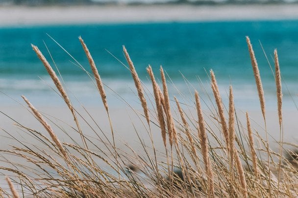 Народні прикмети 11 липня / © pexels.com