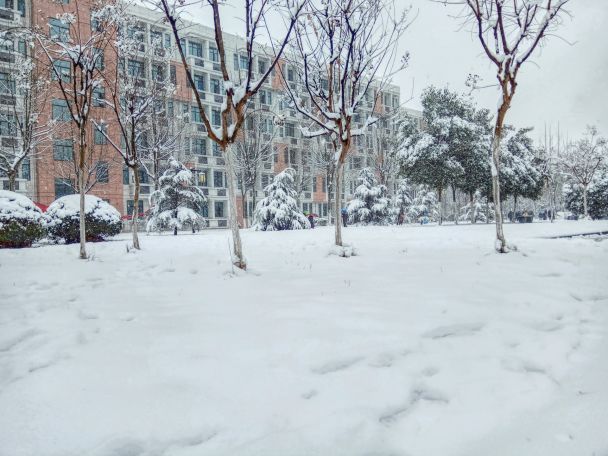 25 января снег означает, что лето будет сырым и дождливым / © Pexels