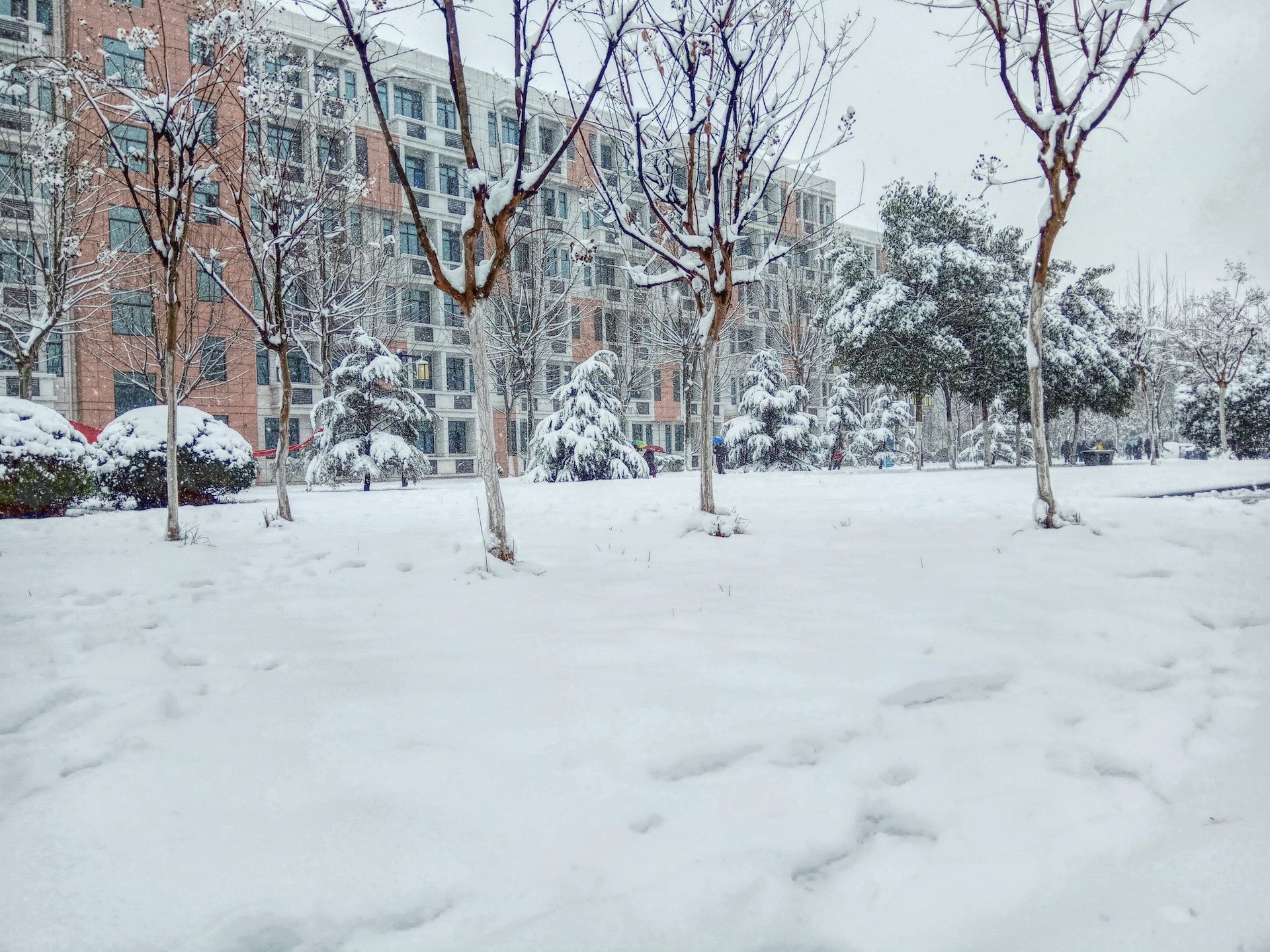 Den 25. januar betyder sne, at sommeren bliver våd og regnfuld / © Pexels