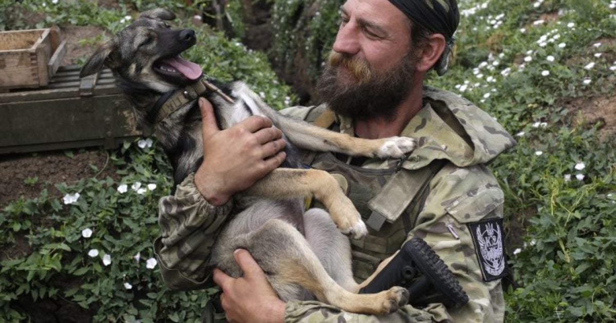 Военные на Луганщине