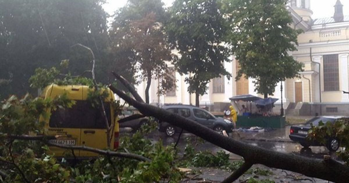 У Затоці на майданчику фестивалю важкою технікою розгрібають наслідки буревію