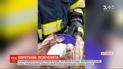 В Херсонской области чрезвычайники спасли птенца аиста, которое выпало из гнезда