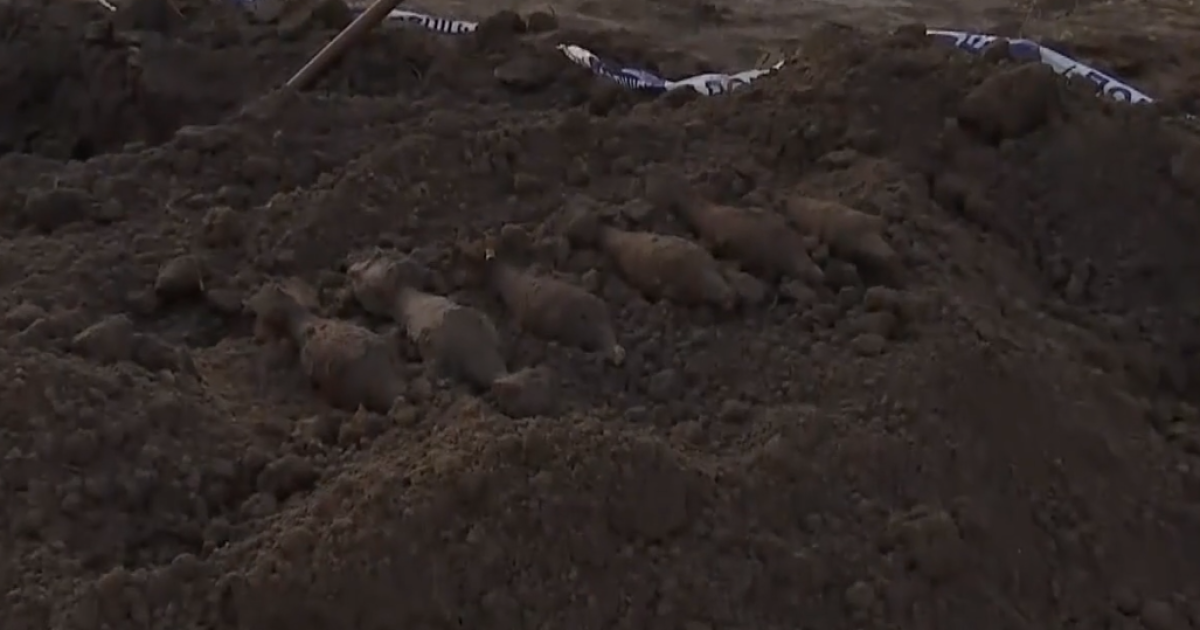 У Київській області під час будівництва дитячого майданчика знайшли шість снарядів