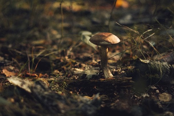 Народні прикмети 6 вересня / © pexels.com