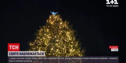Львов зажег огни на новогодней елке – чем красавица этого года поражает горожан и туристов