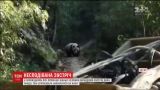В Китае мужчина заснял дикую панду, которая едва не набросилась на лошадь
