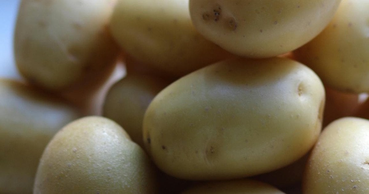 Як правильно варити молоду картоплю