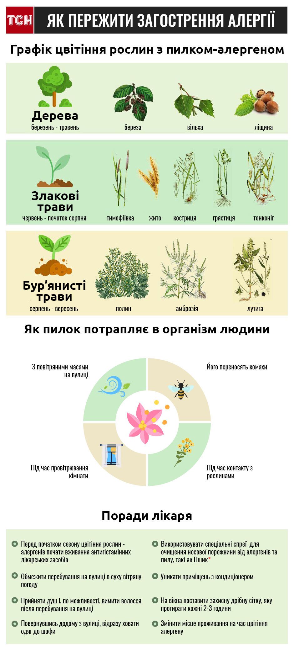 Реферат: Растения и аллергия