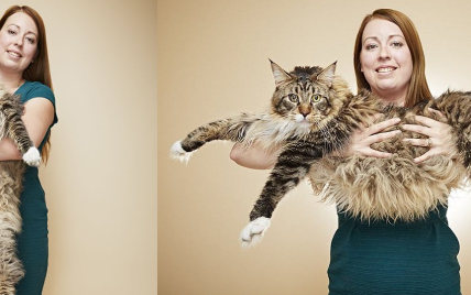 Фото молодого и кудрявого Парубия и самый длинный кот в мире. Тренды Сети