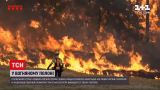 Новости мира: США и Европу охватили лесные пожары