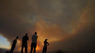 Кіпр лісові пожежі_9 / © Associated Press