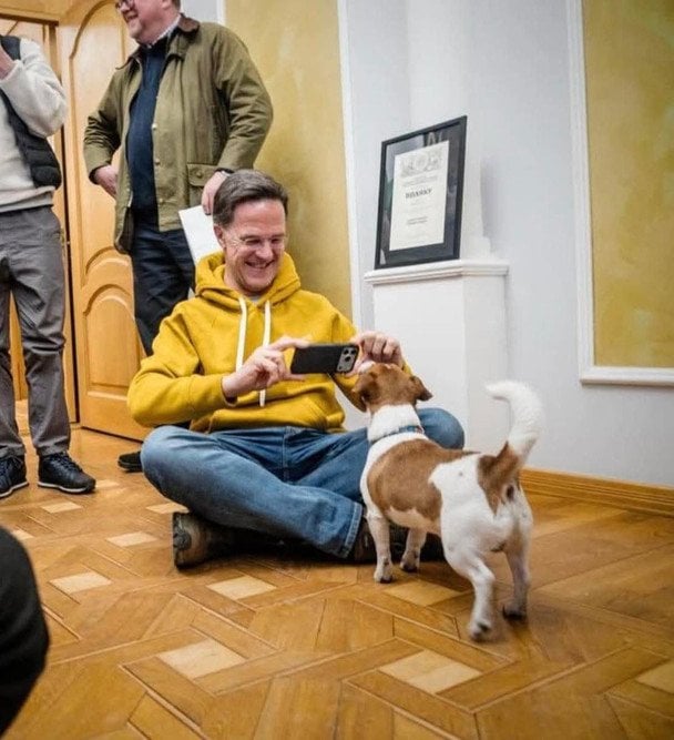 Марк Рютте поспілкувався із зірковим чотирилапим сапером псом Патроном / © Фото з відкритих джерел