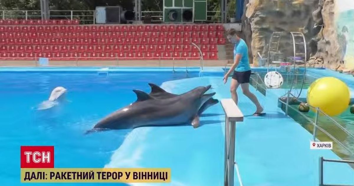 В Харькове под взрывами остаются питомцы дельфинария, которых не могут эвакуировать