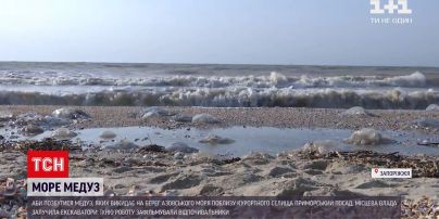 Новини України: як у курортних містах рятуються від нашестя медуз