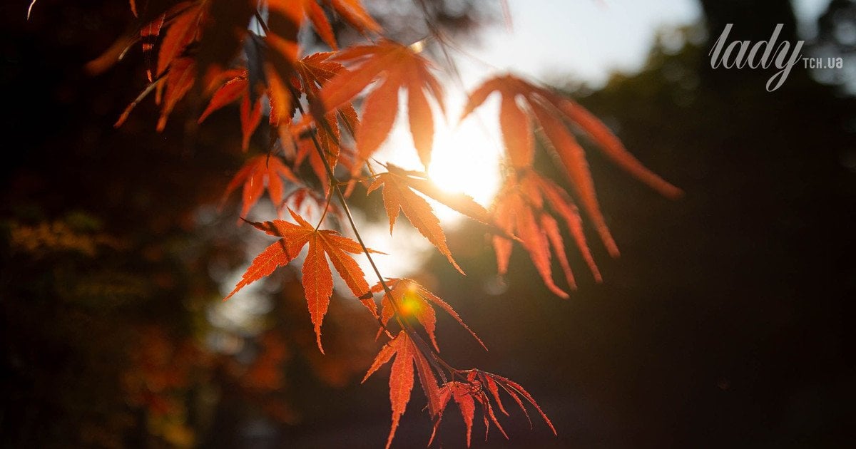 День Осіннього Рівненства 22 вересня 2024 року