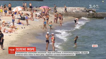 Чорне море зазеленіло: незвичний колір води налякав туристів