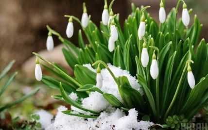 Настоящая весна: когда в Киев придет значительное потепление