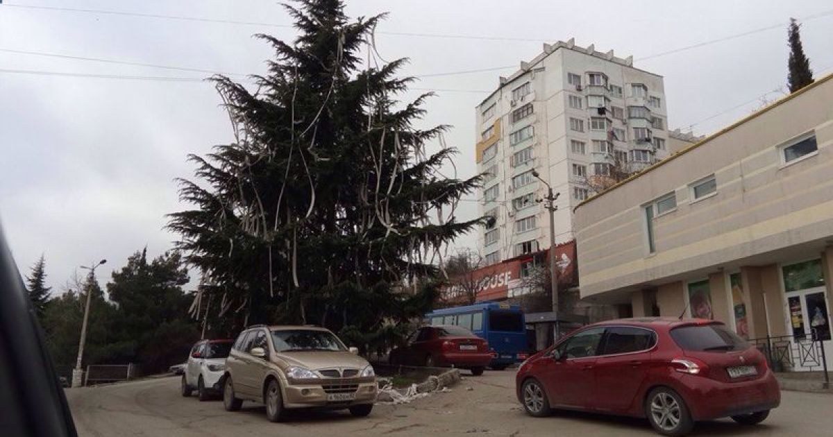 Найнезвичайніша ялинка в ялті прикрашена туалетним папером