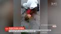 Дві школярки у Харкові почубились за парубка – справу розслідують правоохоронці