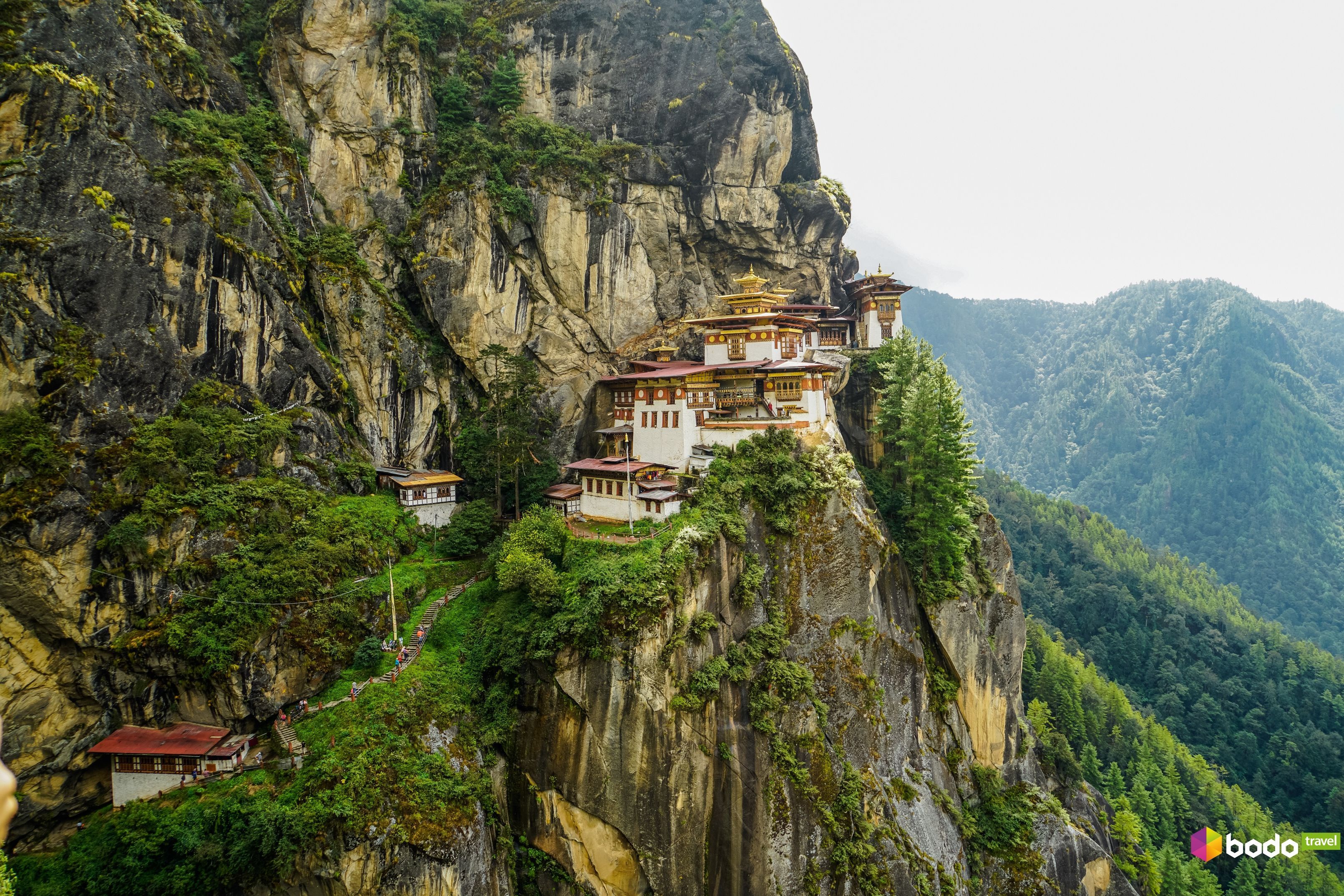 Секс күміс роззокова