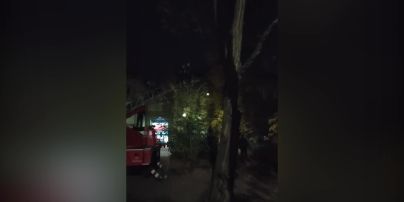 Под Запорожьем мужчина залез на дерево и угрожал прыгнуть