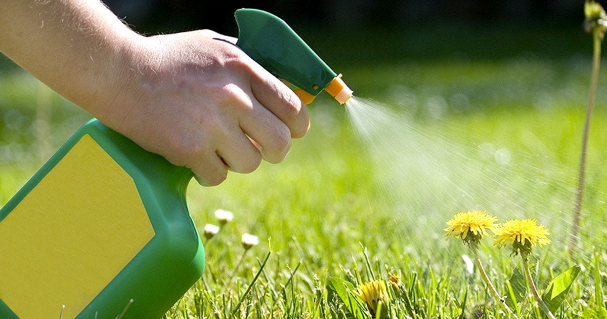 Як позбавитись бур’янів