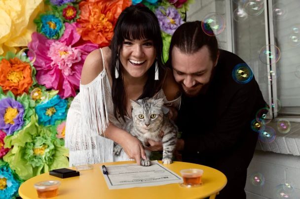 Пара взяла кішку свідком на своє весілля / © nypost.com