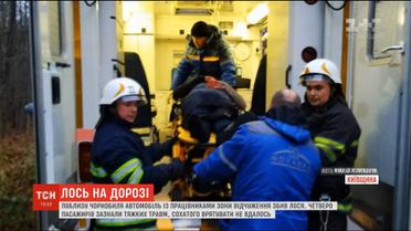 Вблизи Чернобыльской зоны легковушка сбила лося и перевернулась