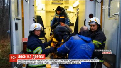 Вблизи Чернобыльской зоны легковушка сбила лося и перевернулась