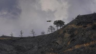 Кіпр лісові пожежі_14 / © Associated Press