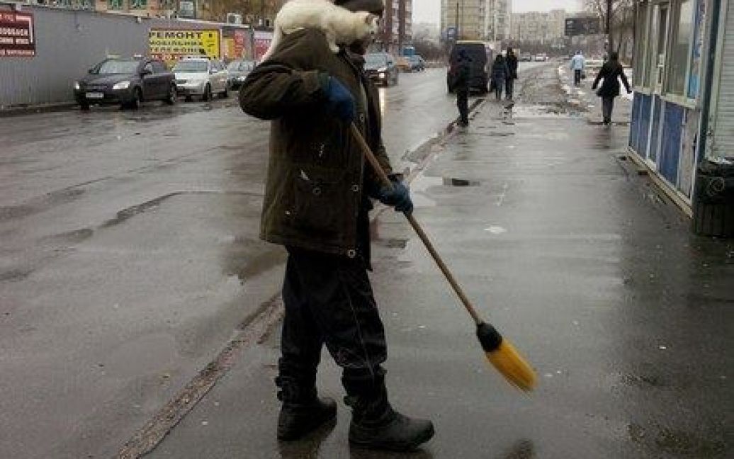 Чоловік підмітає вулицю і не звертає увагу на пухнастих тваринок у себе на голові / © vk.com/troyeshchyna_array
