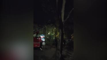 Під Запоріжжям чоловік заліз на дерево і погрожував стрибнути