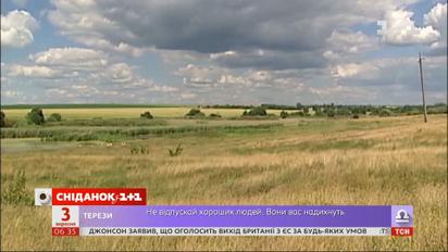 Що буде з українською землею, коли мораторій знімуть