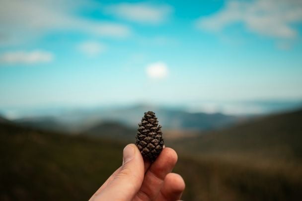 Народные приметы 20 сентября / © Unsplash