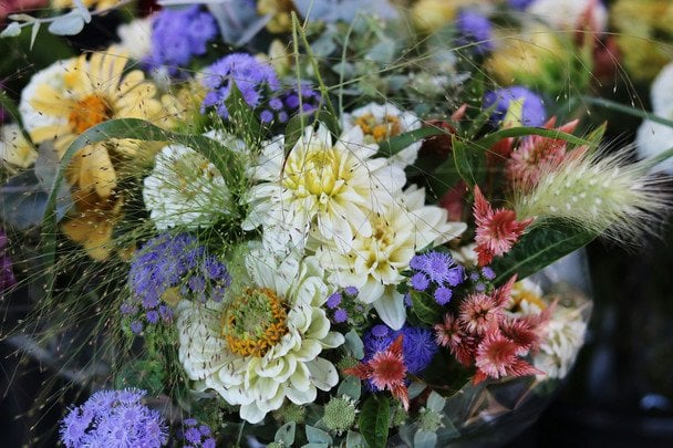 День ангела 11 января — душевные поздравления в прозе / © unsplash.com