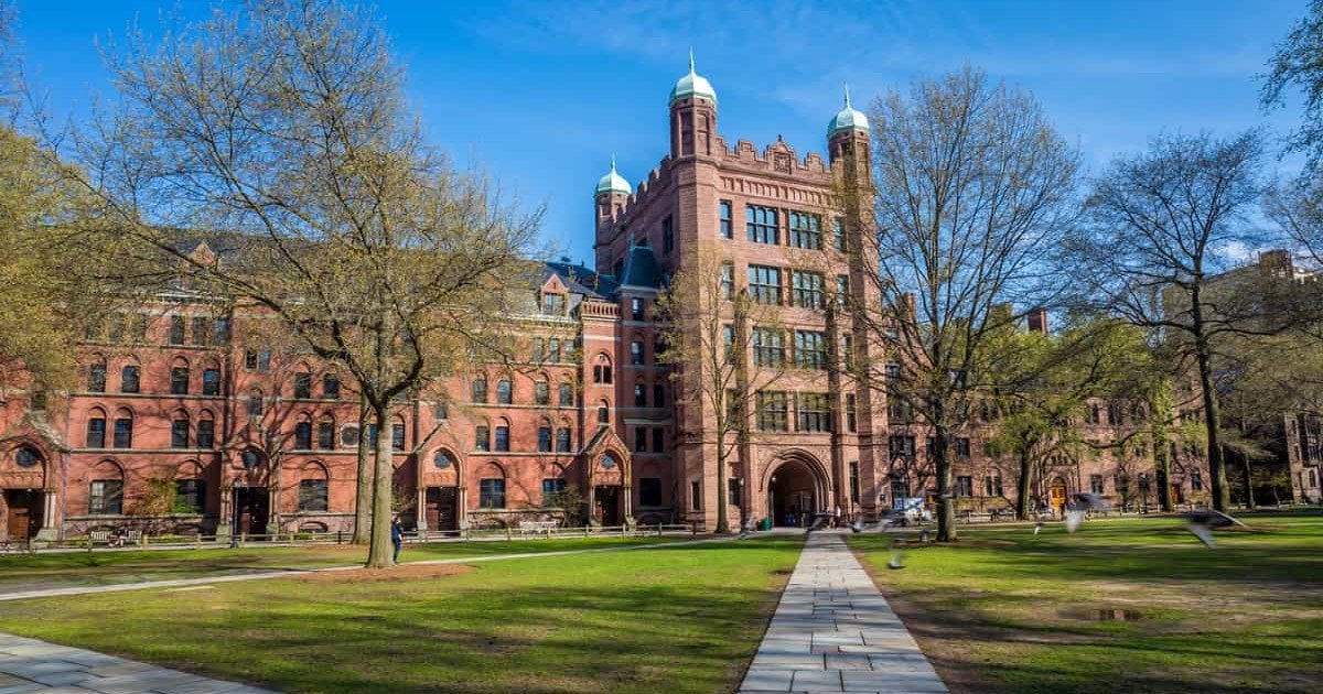 Українські ветерани навчатимуться у Єльському університеті за лідерською програмою від Фонду Віктора Пінчука