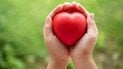 Найкращий фрукт для здоров’я серця та судин